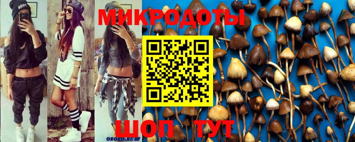 Псилоцибиновые грибы прущие грибы  Вход с VPN  Ефремов 