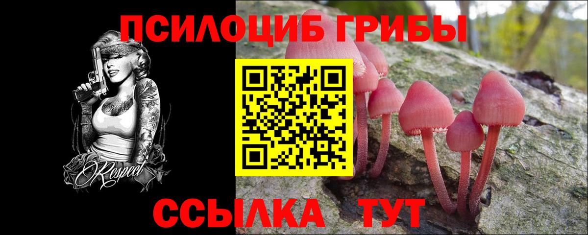 Галлюциногенные грибы MAGIC MUSHROOMS Ефремов